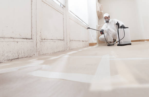 24/7 Emergency Attic Mold Removal experts in Iselin, NJ